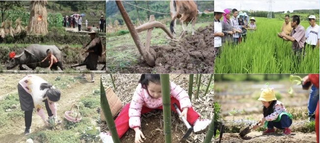 1559181202817013090.png 1559181202817013090.png