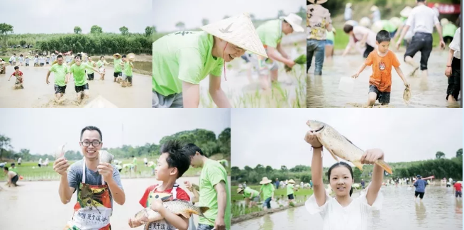 1559181392029060132.png 1559181392029060132.png