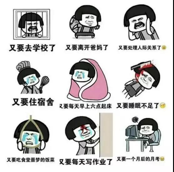 1615362224082024925.jpg 1615362224082024925.jpg