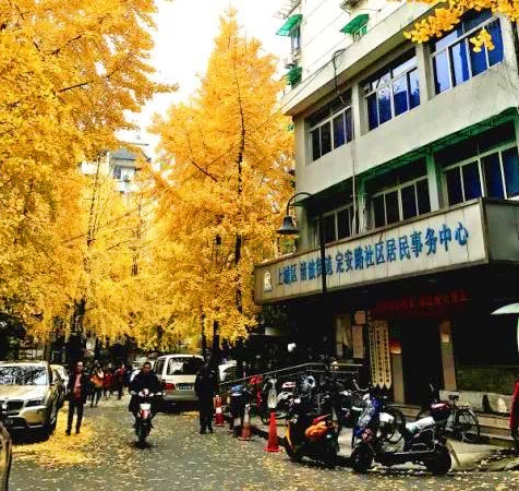 WeChat_1557036870.jpeg WeChat_1557036870.jpeg