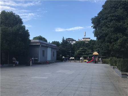 1507685670065037268.jpg 5.jpg